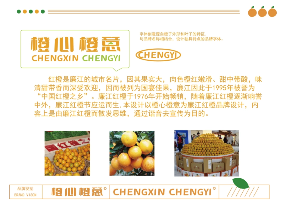 24年WP专升本艺术设计 地域农产品品牌设计中的汉字应用研究—以《橙心橙意》为例 附件毕设手册-约0字符.pdf_第4页