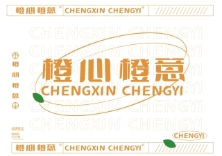 24年WP专升本艺术设计 地域农产品品牌设计中的汉字应用研究—以《橙心橙意》为例 附件毕设手册-约0字符.pdf