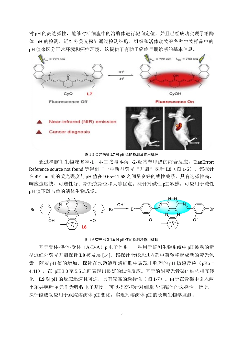 24年WP本科化学工程与工艺 双茚二酮pH探针的合成及光学性能的研究终稿-约17509字符.docx_第6页