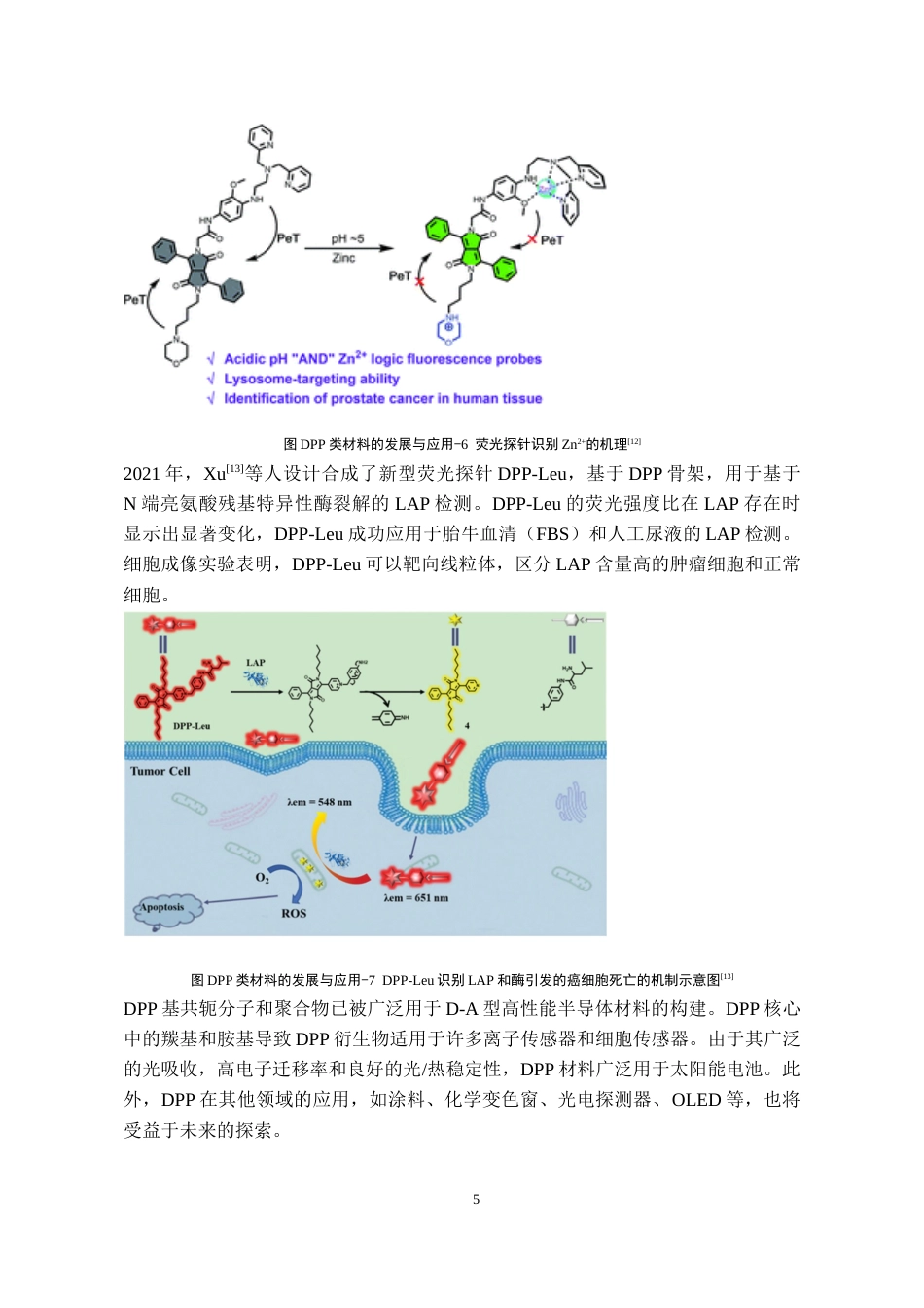 24年WP本科化学工程与工艺 萘基吡咯并吡咯二酮异构体的合成及发光性质研究终稿-约17542字符.docx_第6页