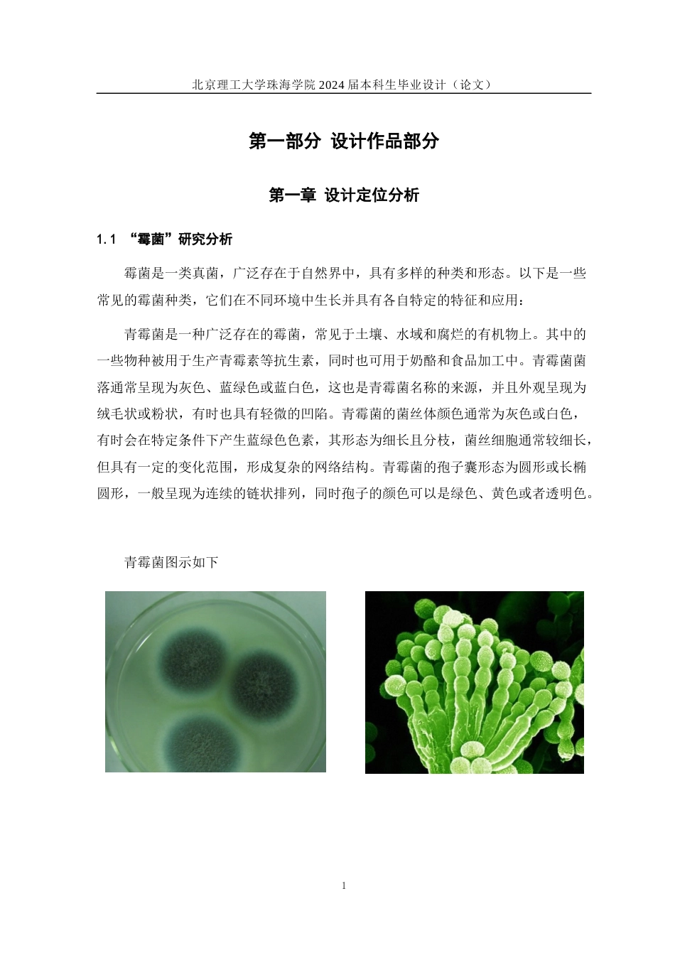 24年WP交稿工艺美术 “菌有霉感”—现代纤维艺术设计与制作定稿x2-约13064字符.docx_第4页