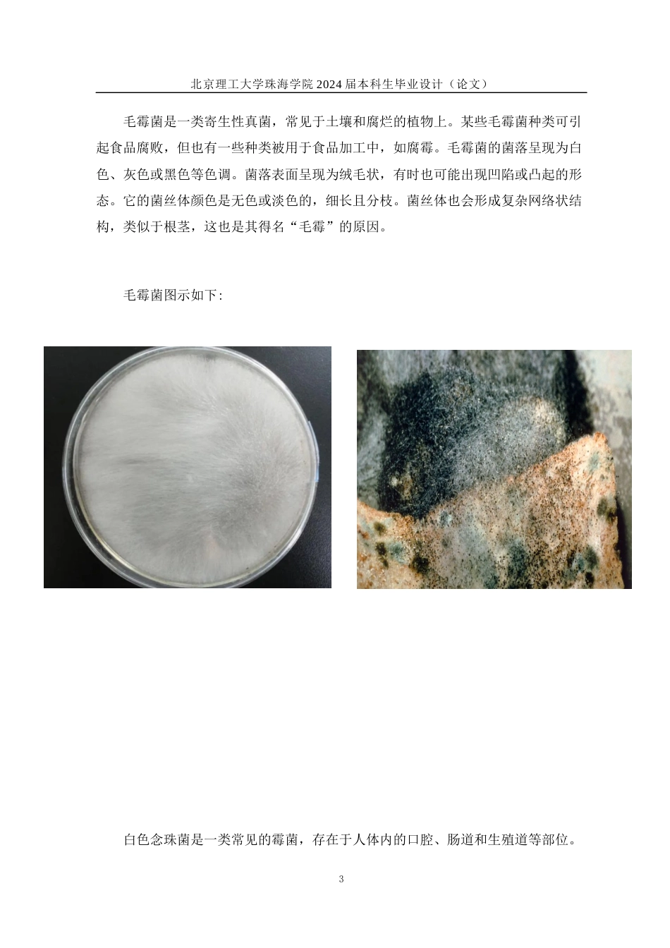 24年WP交稿工艺美术 “菌有霉感”—现代纤维艺术设计与制作定稿x2-约13064字符.docx_第6页