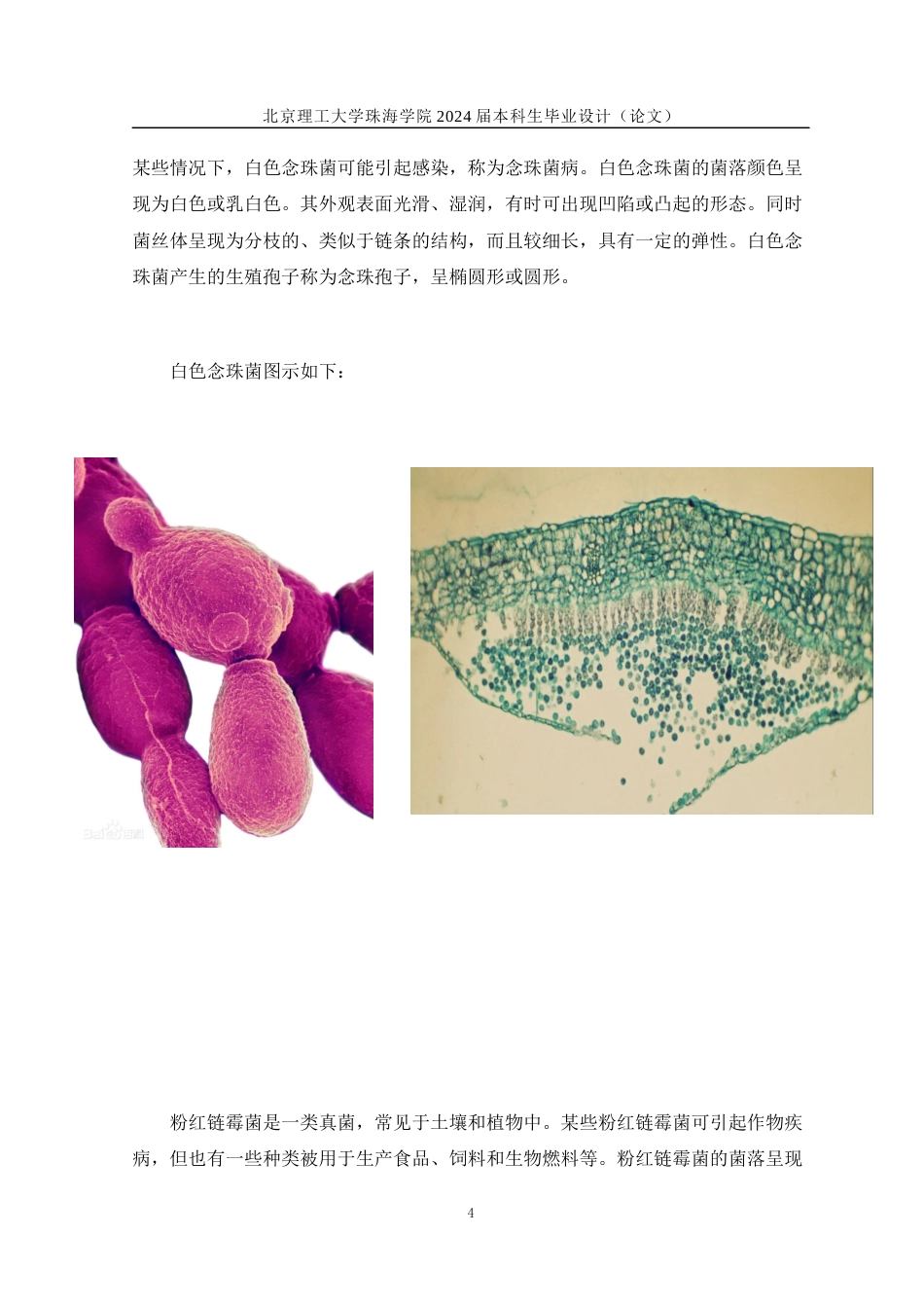 24年WP交稿工艺美术 “菌有霉感”—现代纤维艺术设计与制作定稿x2-约13064字符.docx_第7页