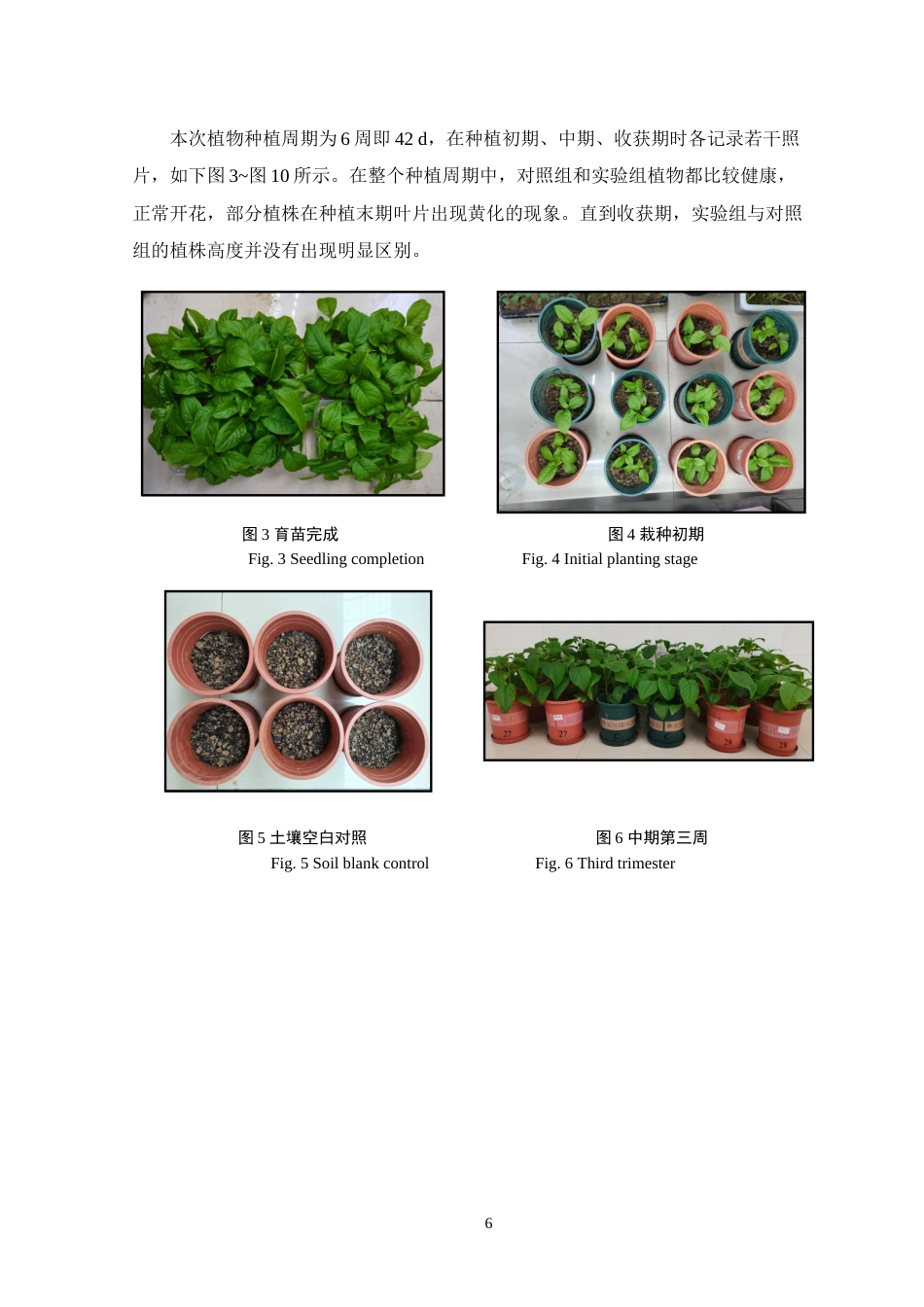 24年WP本科生物科学 两株耐钇真菌对美洲商陆富集稀土钇的影响-约19760字符.docx_第10页