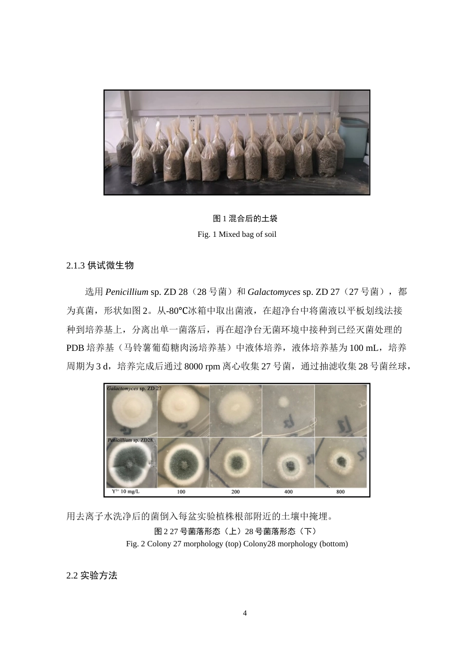 24年WP本科生物科学 两株耐钇真菌对美洲商陆富集稀土钇的影响-约19760字符.docx_第8页