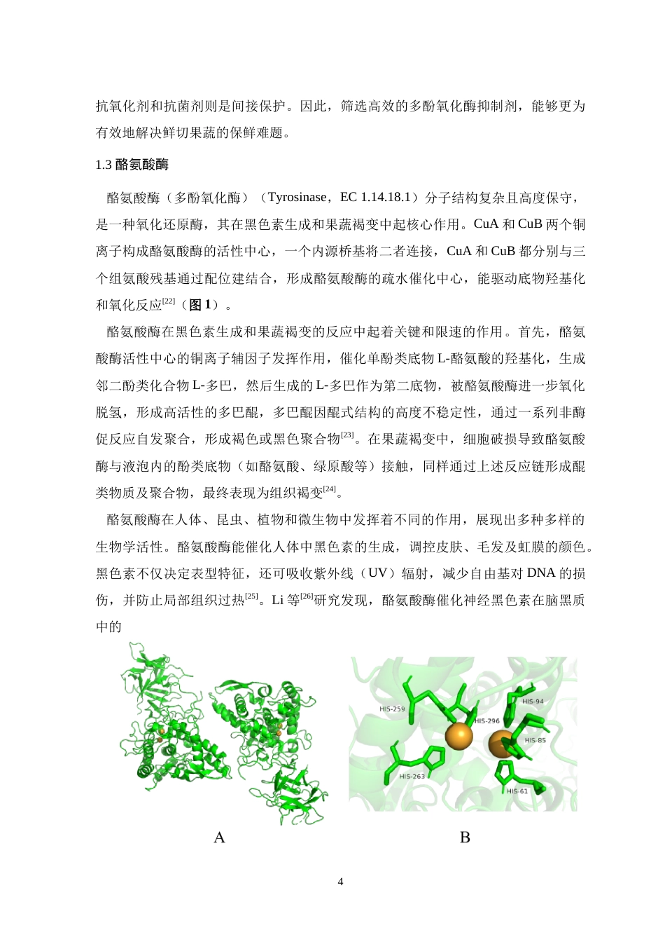 25年WP本科生物科学 龙眼果壳单宁抑制酪氨酸酶和鲜切苹果褐变的效果与分子机制研究定稿.doc_第10页