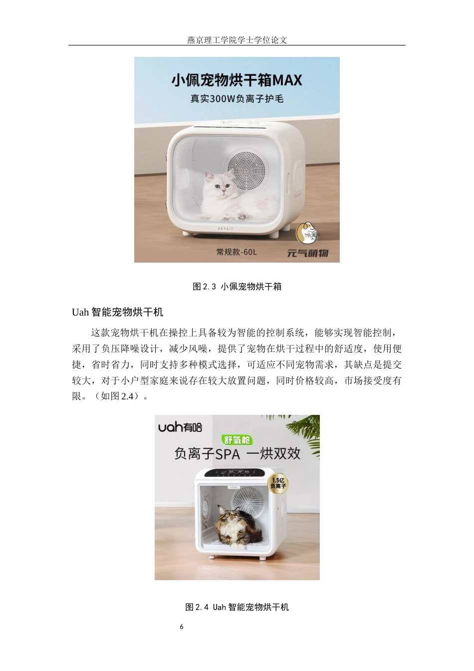 25年WP产品设计家电-基于用户体验的家用宠物洗烘-体机设计论文定稿 过AI率-约10805字符.docx_第9页