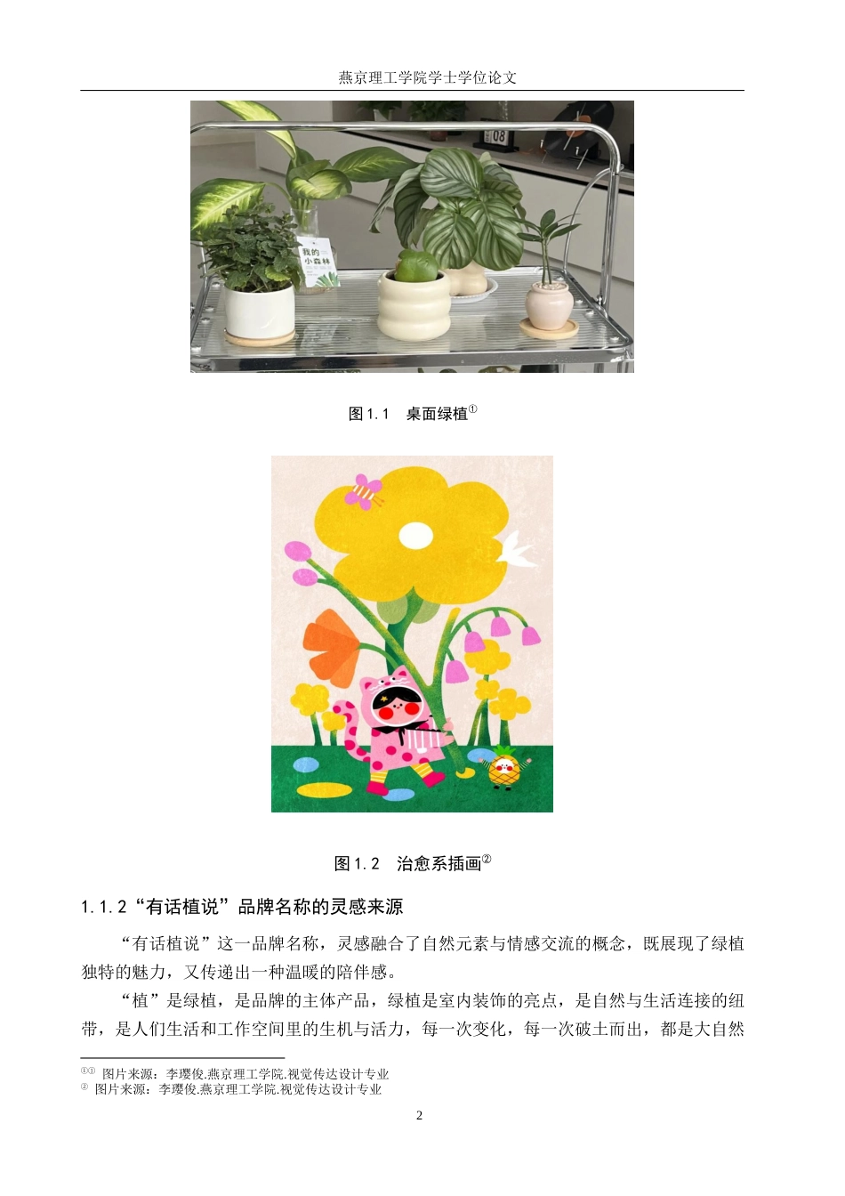 25年WP视觉传达-治愈系插画在”有话植说“桌面绿植产品包装中的创新设计定稿 过AI率-约18755字符.docx_第6页