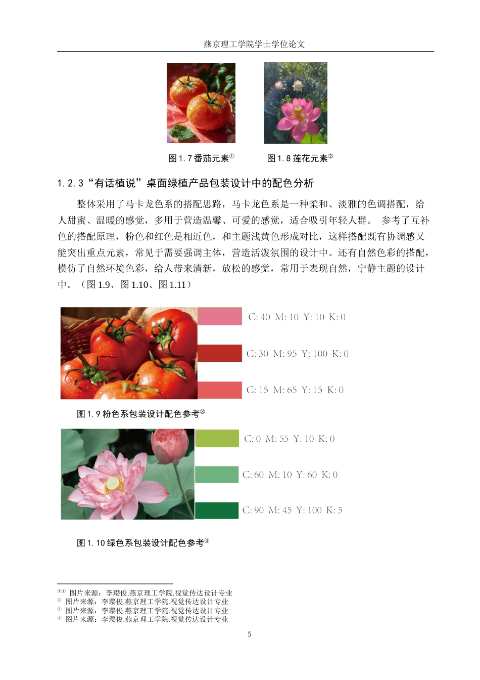 25年WP视觉传达-治愈系插画在”有话植说“桌面绿植产品包装中的创新设计定稿 过AI率-约18755字符.docx_第9页