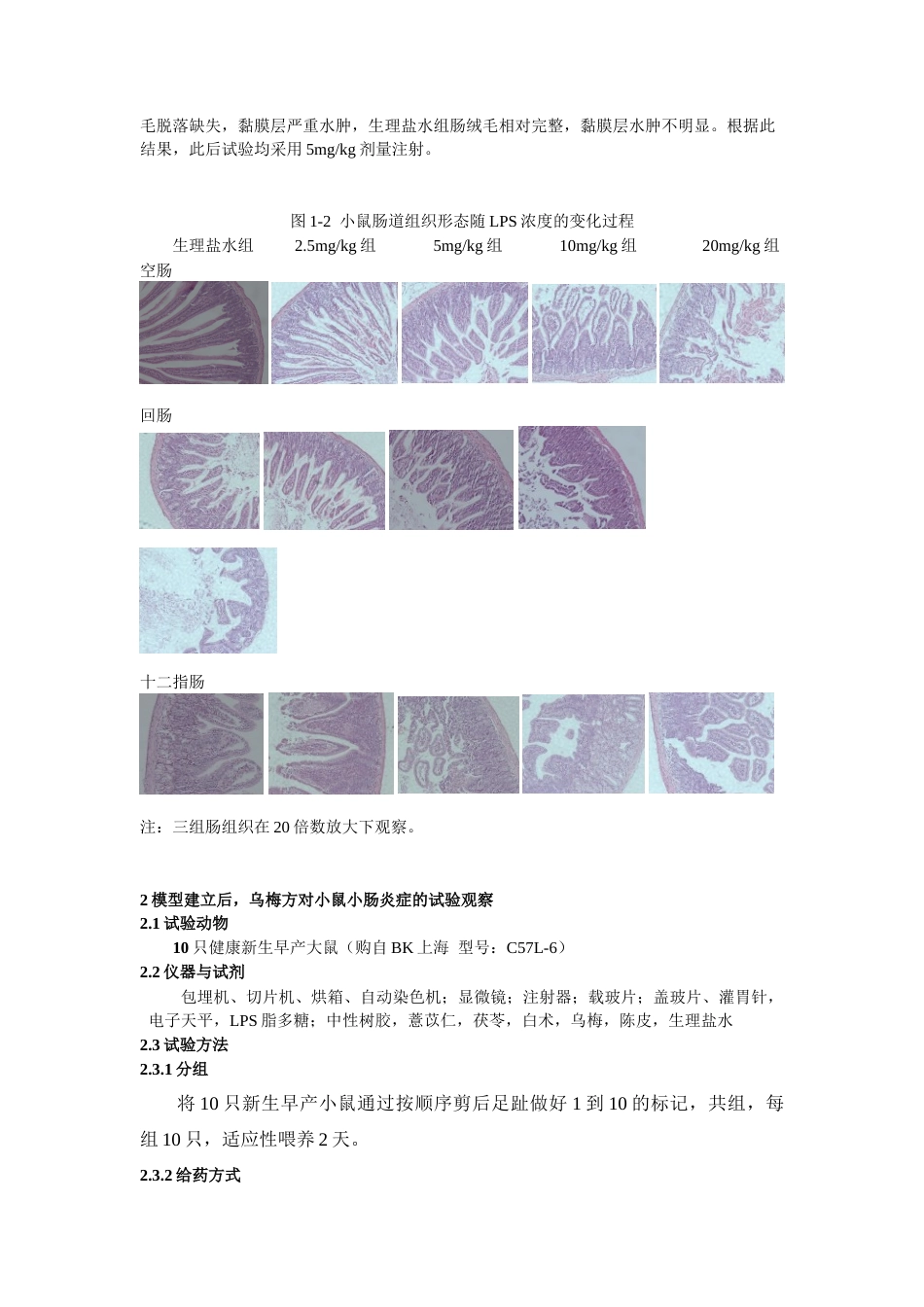 22年WP 乌梅方对脂多糖诱导小鼠小肠炎症的保护作用-约9389字符.docx_第7页