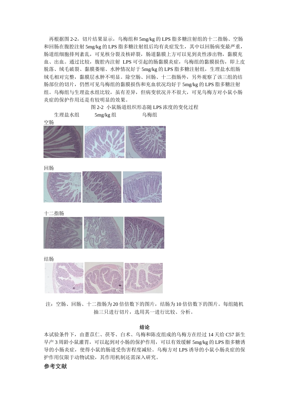 22年WP 乌梅方对脂多糖诱导小鼠小肠炎症的保护作用-约9389字符.docx_第9页