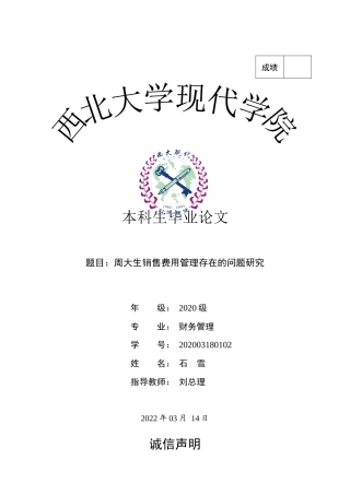 22年WP 销售费用存在的问题-约19475字符.docx