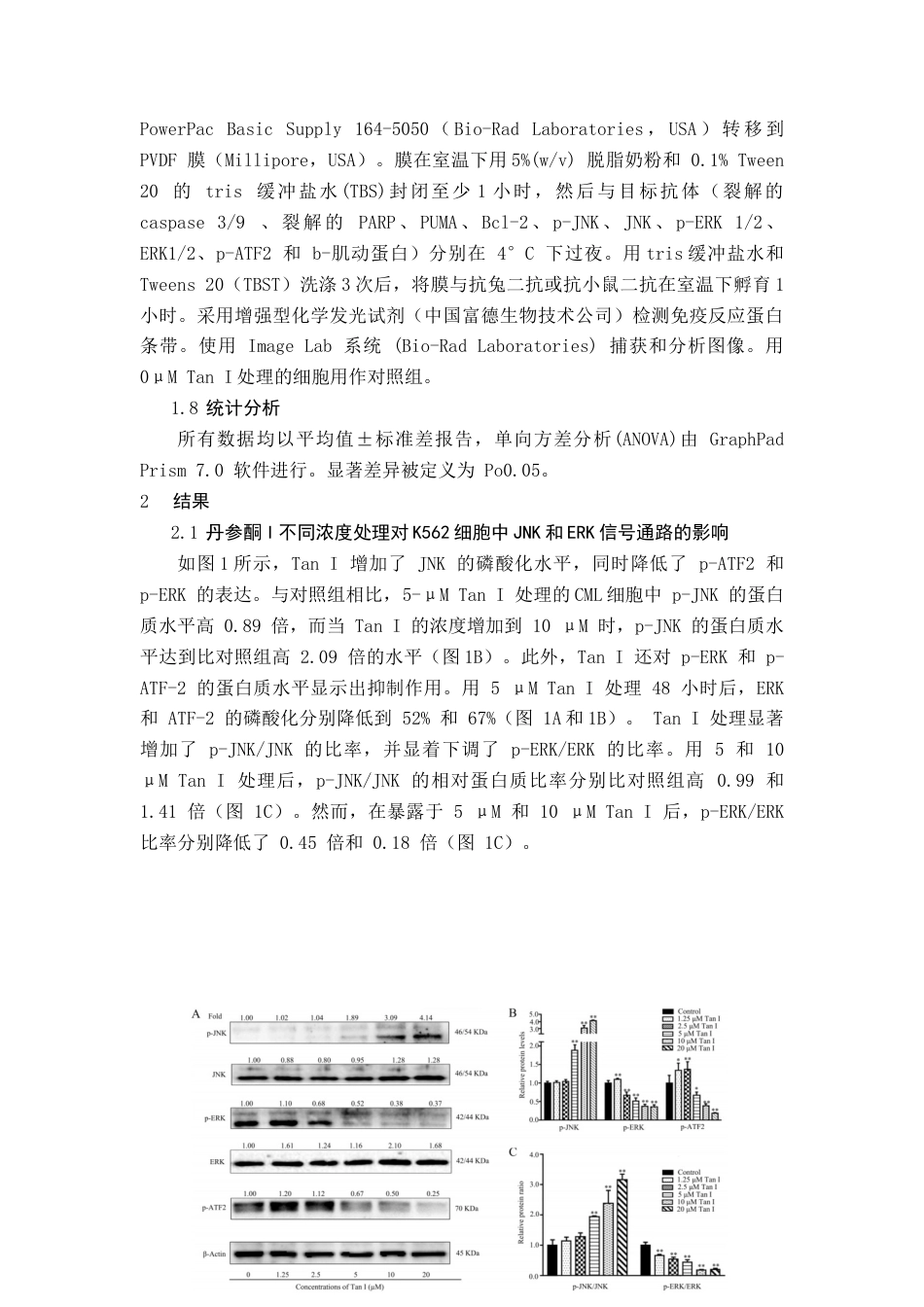 22年WP终稿 _丹参酮I调控慢性粒细胞白血病JNKREK信号通路的功能研究-约14056字符.docx_第6页
