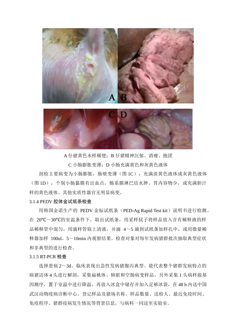 22年WP 规模化猪场常见仔猪腹泻预防和治疗-约6771字符.docx_第6页