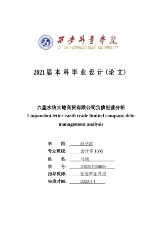 22年WP 六盘水信大地商贸有限公司负债经营分析-约14474字符.docx