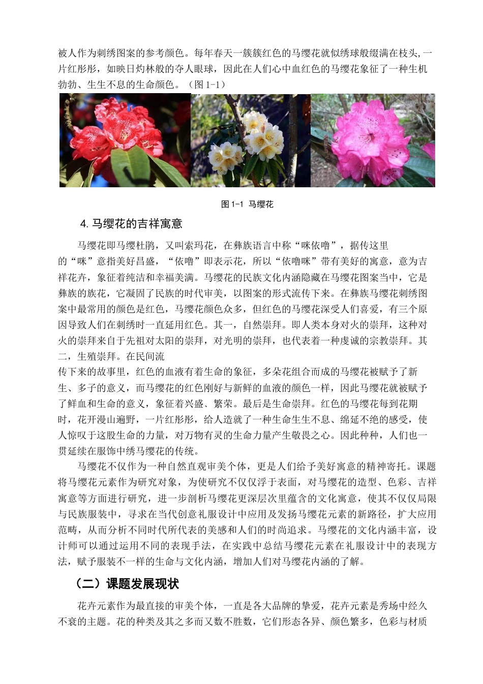 22年WP 马缨花元素在创意礼服中的应用-约12852字符.docx_第4页