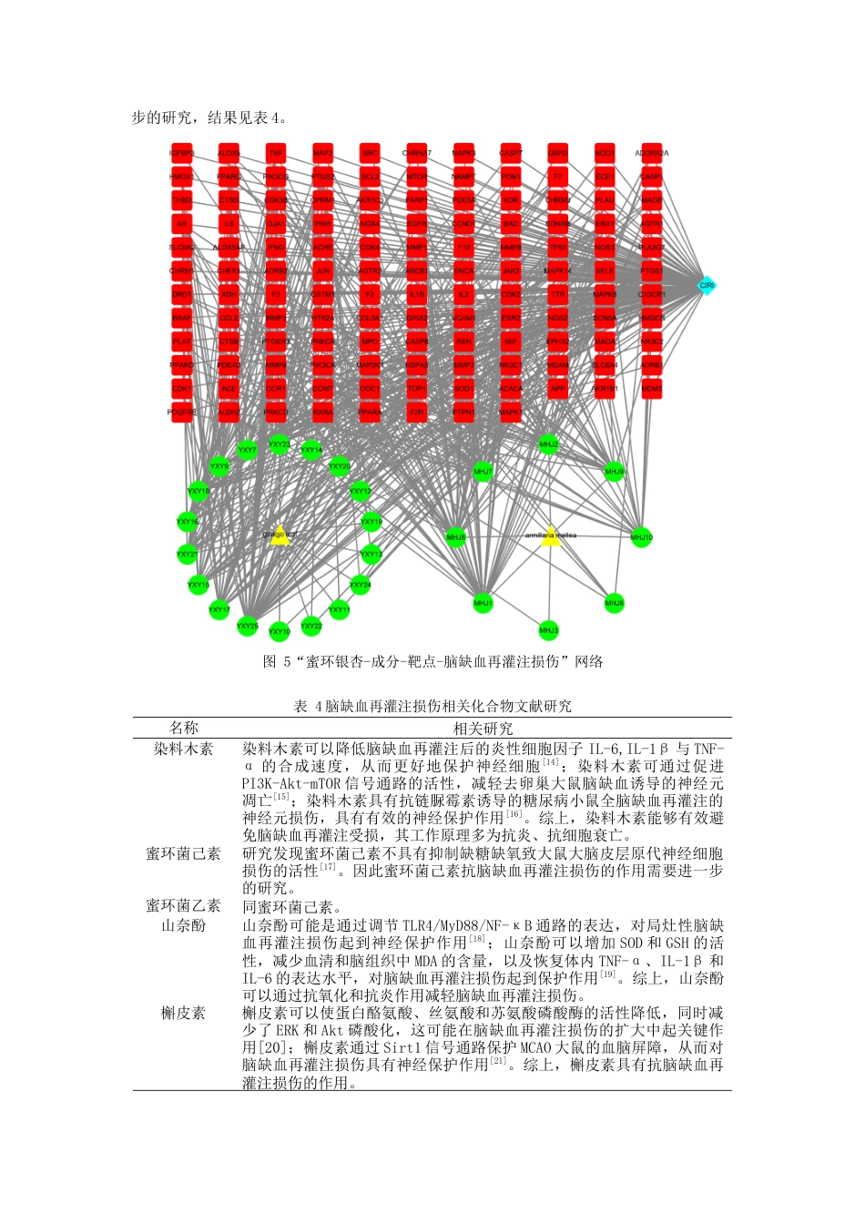 22年WP终稿 基于网络药理学和分子对接技术探讨蜜环-银杏治疗脑缺血再灌注损伤的作用机制-约19272字符.docx_第7页