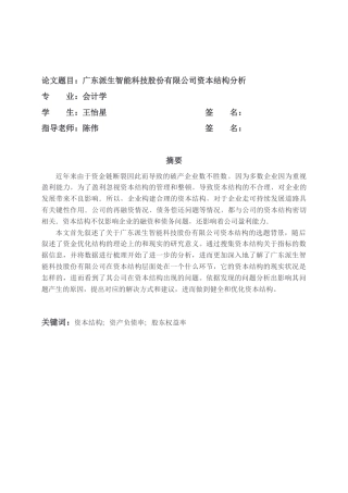 22年WP 广东派生智能科技股份有限公司资本结构分析-约14495字符.docx