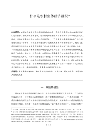 22年WP 什么是农村集体经济组织-约11332字符.docx