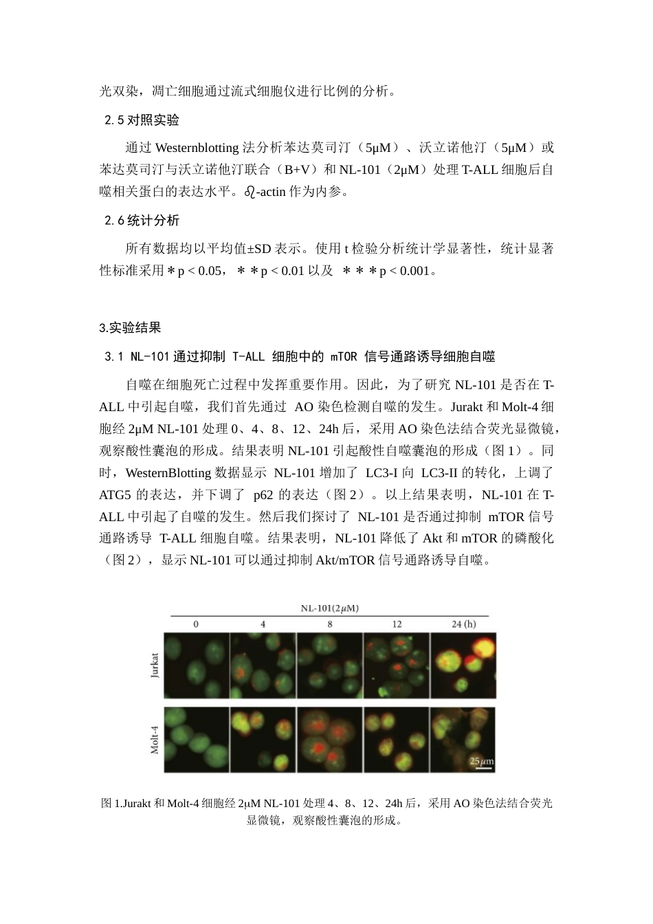 22年WP 新型DNAHDAC双靶点抑制剂NL-101诱导急性T淋巴细胞性白血病细胞发生自噬-约9712字符.docx_第6页