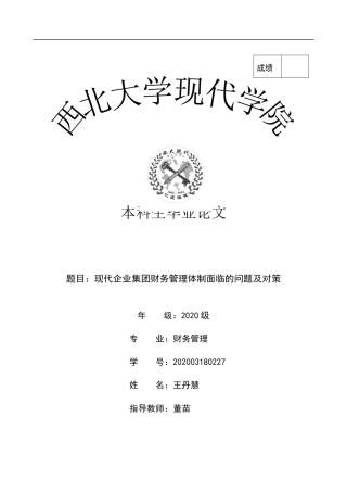22年WP 现代企业集团财务管理体制面临的问题及对策-约15700字符.docx