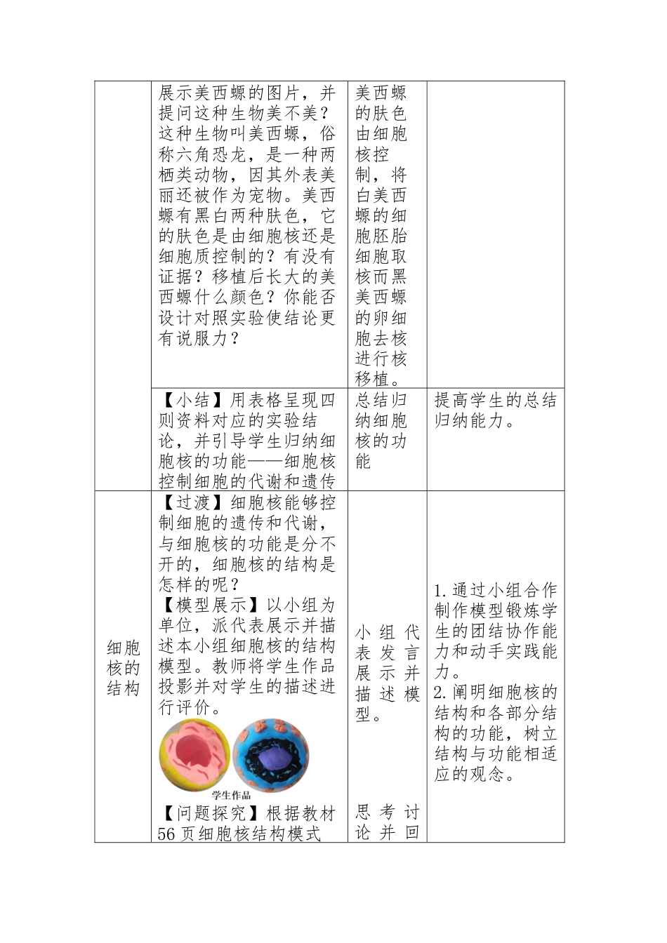 22年WP 《细胞核的结构和功能》教学设计-约4256字符.docx_第6页