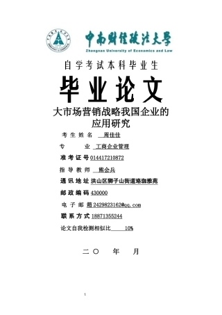 22年WP 大市场营销战略我国企业的 应用研究-约10791字符.docx