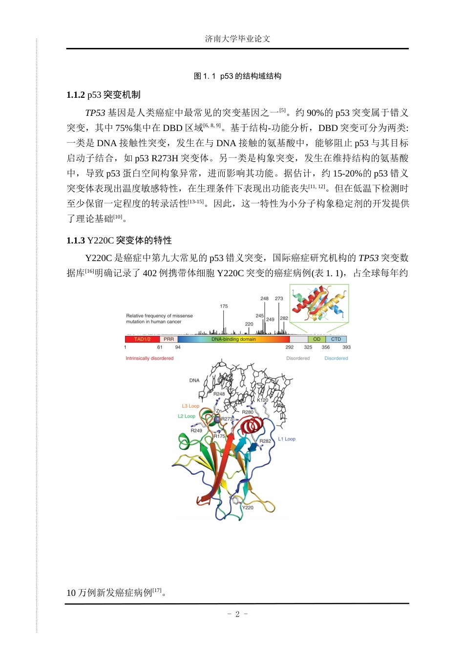 25年查重低 医学 肿瘤抑制因子高频突变体p53Y220C研究关键词：p53Y220C；DUBTACs；去泛素化.docx_第5页