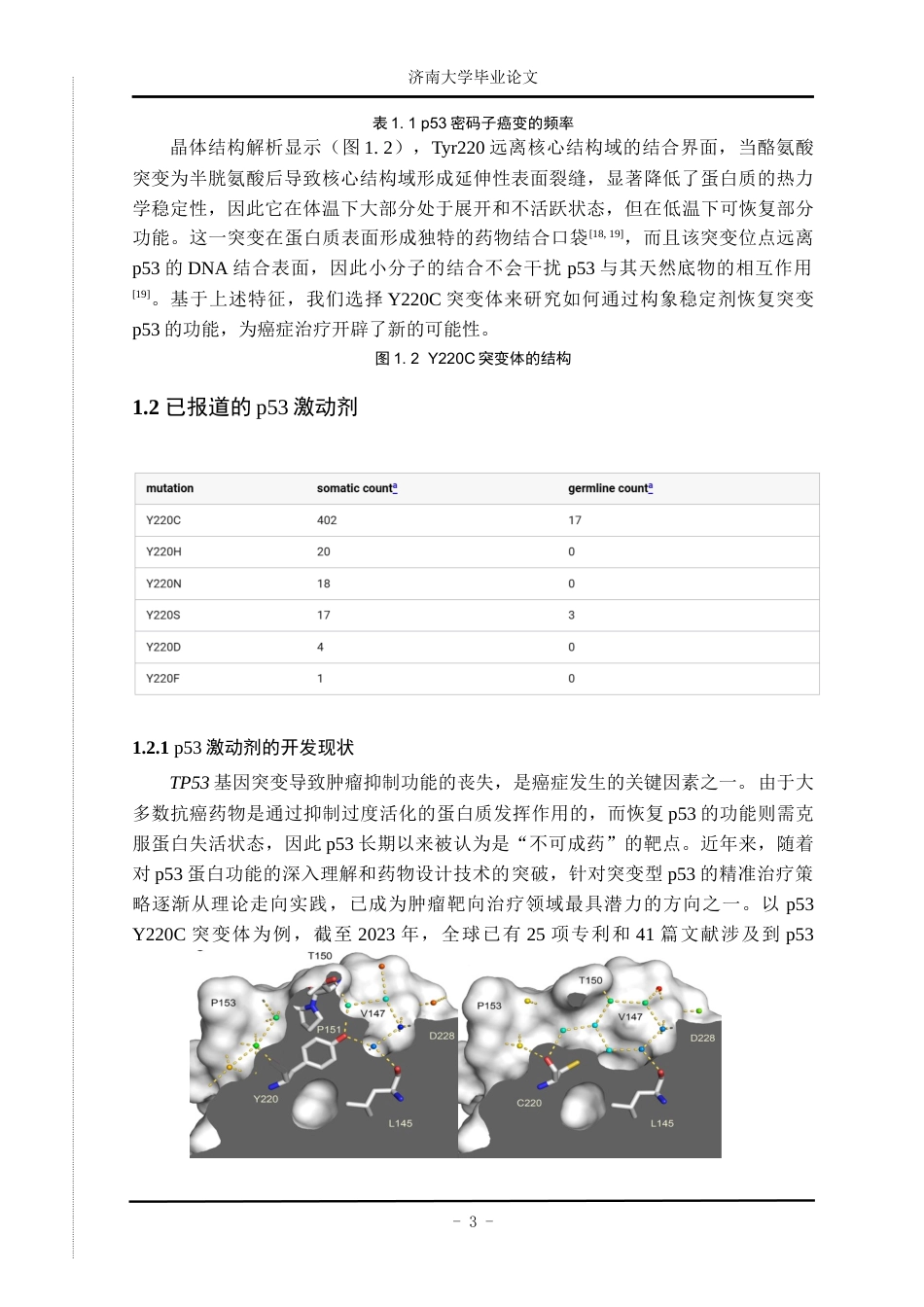 25年查重低 医学 肿瘤抑制因子高频突变体p53Y220C研究关键词：p53Y220C；DUBTACs；去泛素化.docx_第6页
