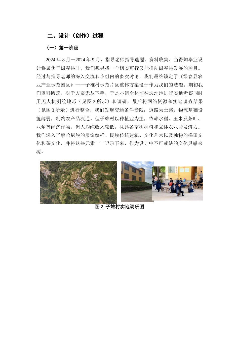 25年查重低 《绿春县农业产业示范园区》——子雄村示范片区整体方案设计.docx_第7页