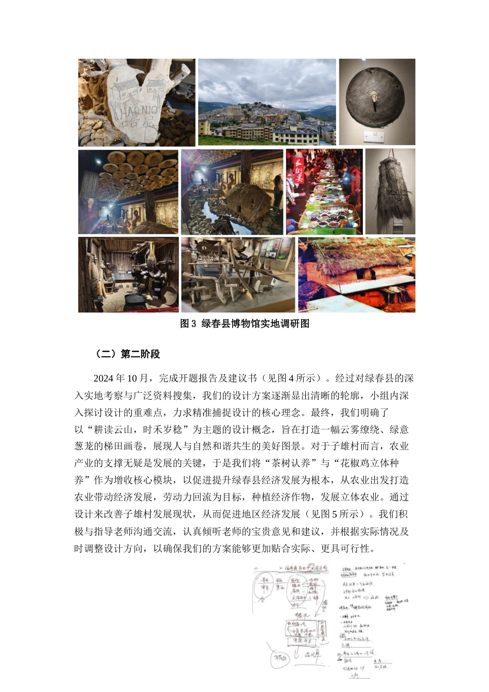 25年查重低 《绿春县农业产业示范园区》——子雄村示范片区整体方案设计.docx_第8页