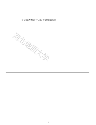 25年收 张大叔成都市井火锅营销策略分析-约15485字符.doc