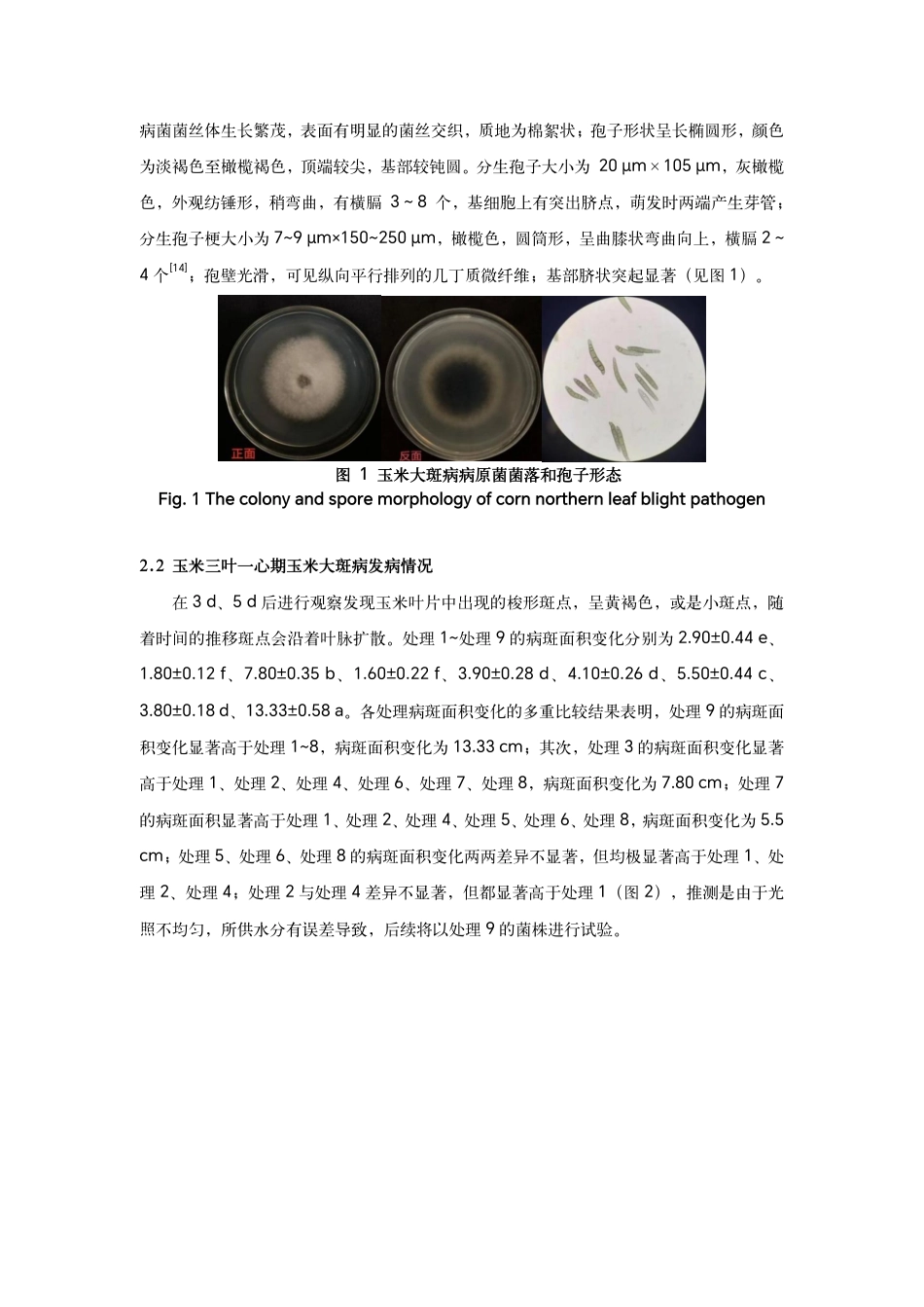 25年WP农业农学本科-两种新型寡糖类植物免疫诱抗剂对玉米大斑病防效的影响Theinfluenceoftwonoveloligosaccharideplant定稿 -约13625字符.pdf定稿_第9页