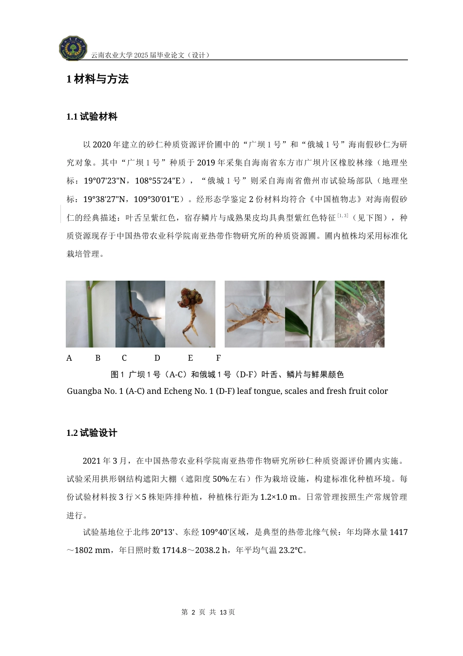 25年WP中草药栽培与鉴定-海南假砂仁资源形态特征及药用成分分析学院：热带作物学院定稿 -约10059字符.docx_第10页