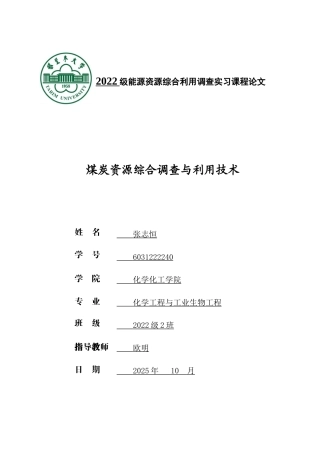 26年课程论文化学工程与工业生物工程 煤炭资源综合调查与利用技术.doc