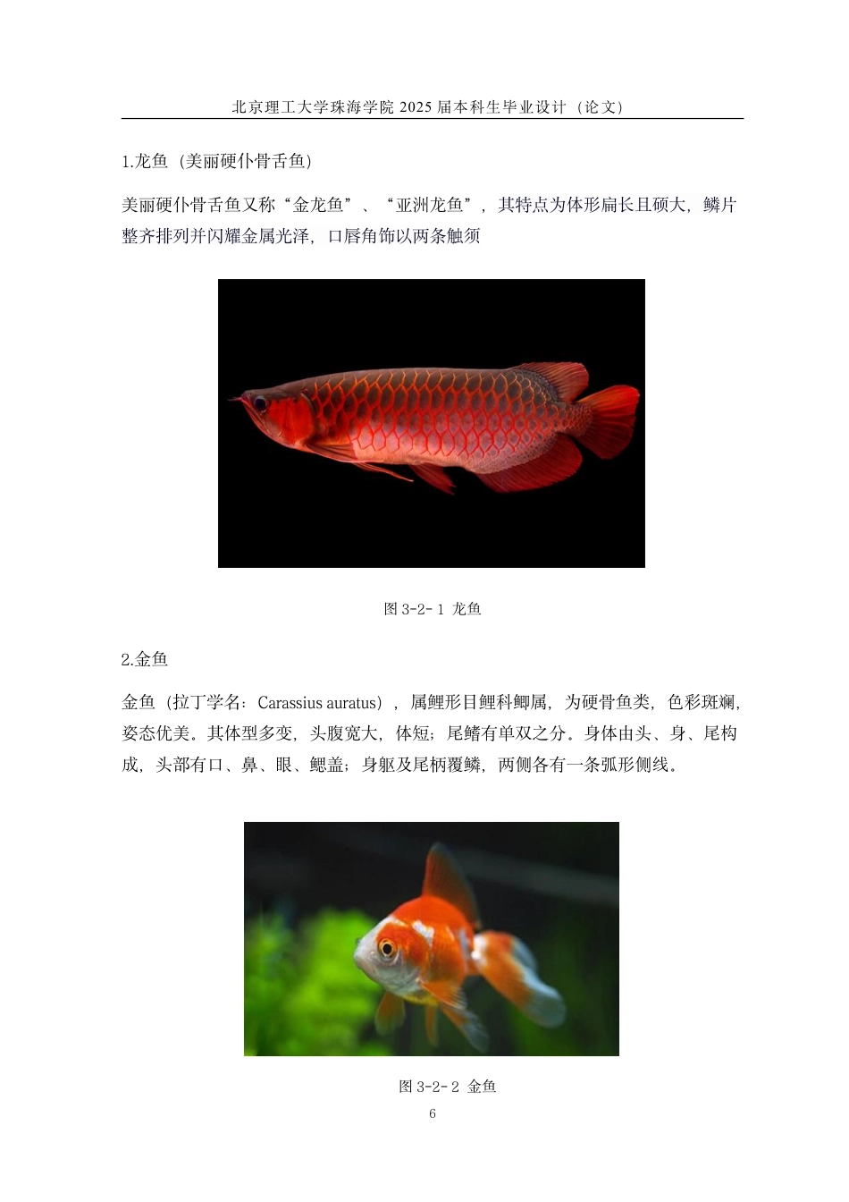 25年WP工艺美术 “瑜语鱼”镂空艺术与光影的结合设计6.63-AI-约13056字符.pdf_第10页