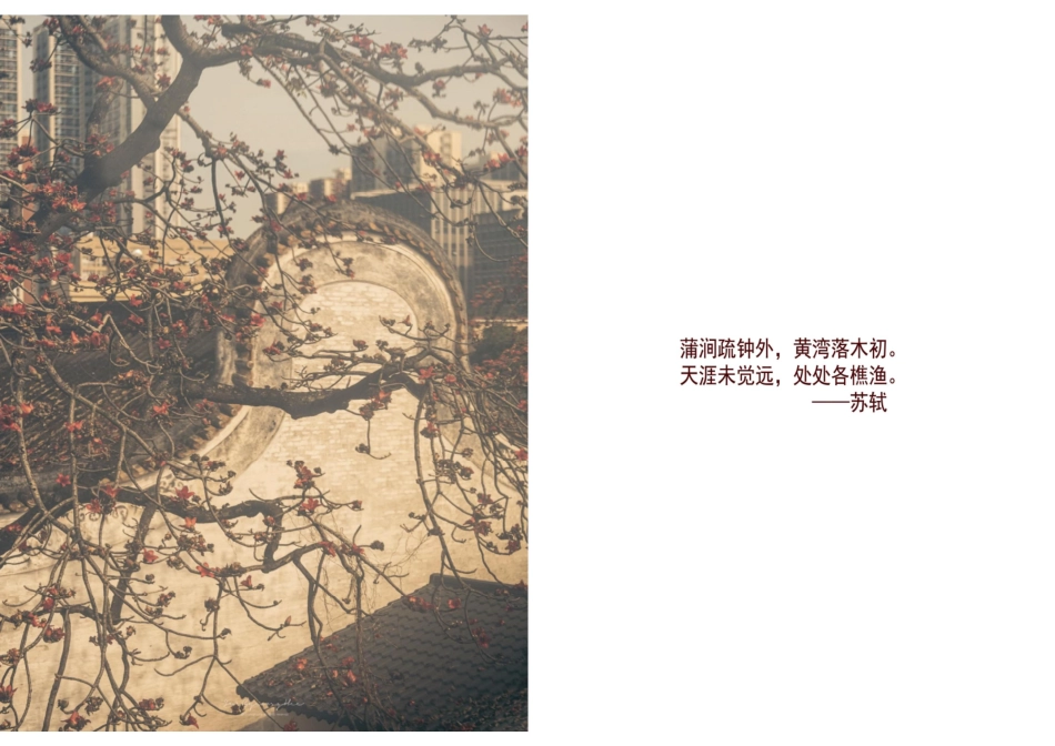 25年WP环境设计 深圳市福田区上沙村村史展馆室内设计0.0-AI.pdf_第2页