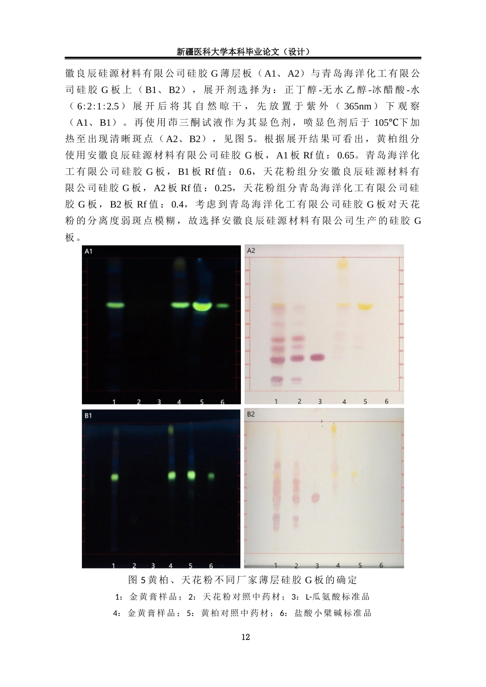 24年维普低 中药制剂金黄膏的薄层鉴别研究-1715411220923-约11918字符.docx_第10页