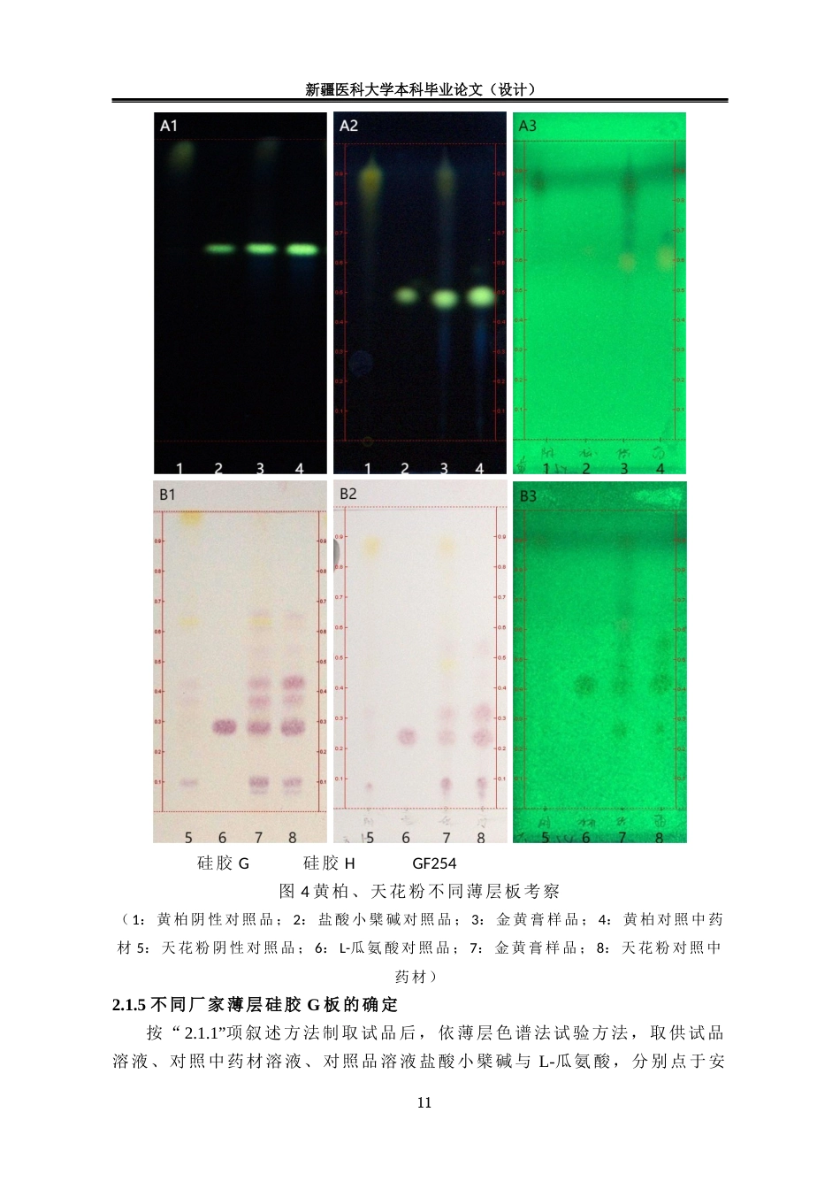 24年维普低 中药制剂金黄膏的薄层鉴别研究-1715411220923-约11918字符.docx_第9页