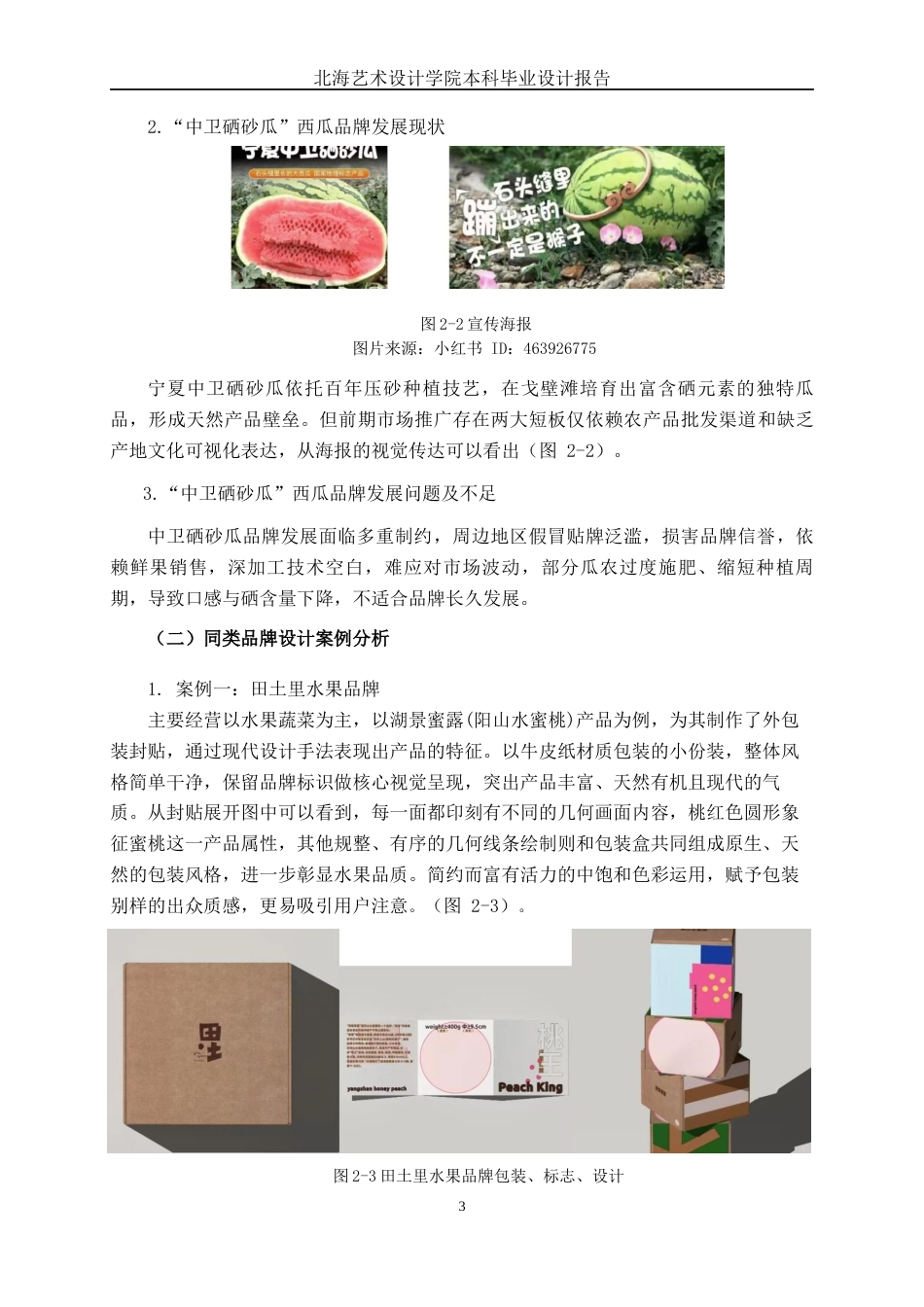 25年WP视觉传达设计 “中卫硒砂瓜”西瓜品牌形象设计视觉2109-AI14.64.docx_第7页