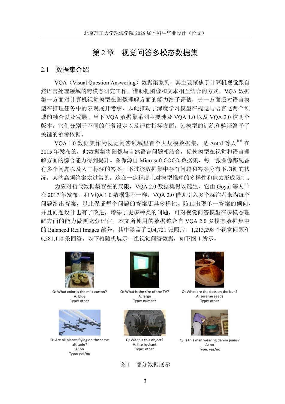 25年WP数据科学与大数据技术 基于CLIP的视觉问答模型9.13-AI12.45-约19673字符.pdf_第6页