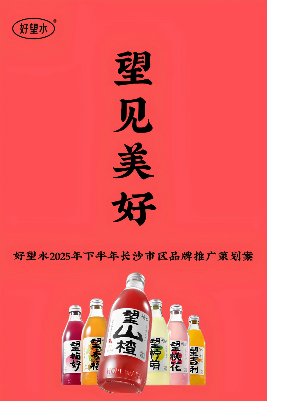 25年WP广告学-好望水2025年下半年长沙市区品牌推广策划案10.560-32575.doc_第1页