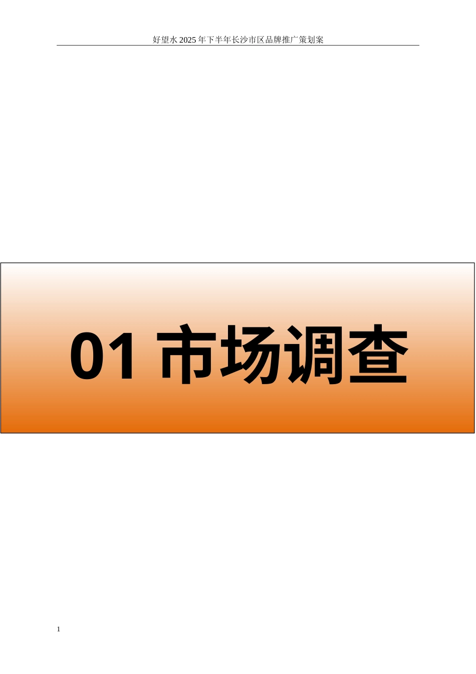 25年WP广告学-好望水2025年下半年长沙市区品牌推广策划案10.560-32575.doc_第10页