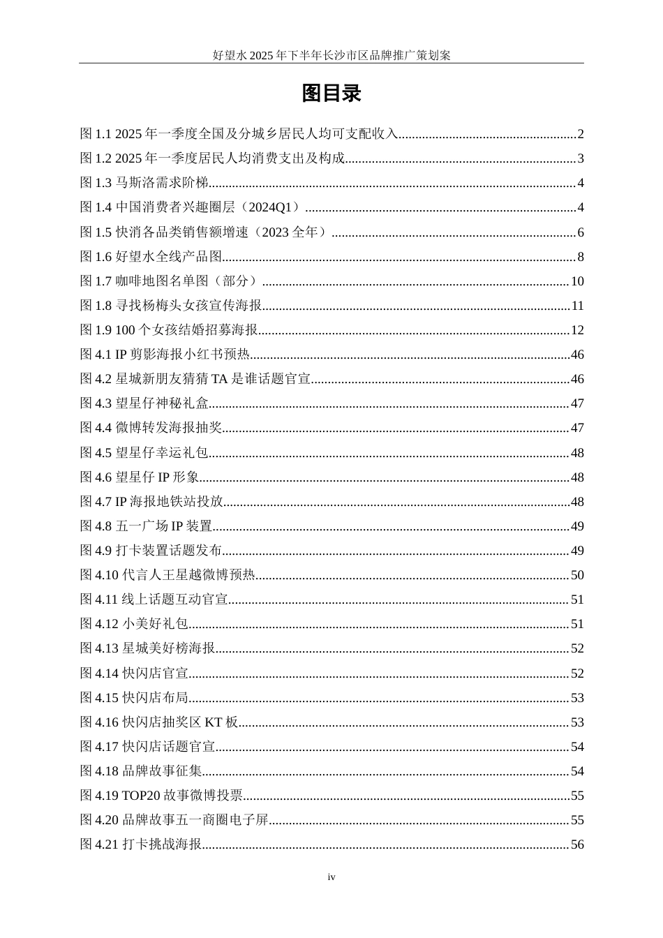 25年WP广告学-好望水2025年下半年长沙市区品牌推广策划案10.560-32575.doc_第7页