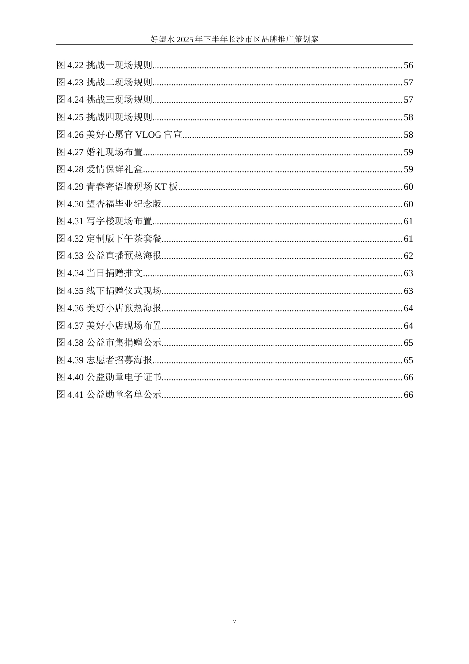 25年WP广告学-好望水2025年下半年长沙市区品牌推广策划案10.560-32575.doc_第8页