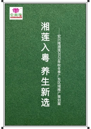 25年WP广告学-宏兴隆湘莲2025秋冬季广东区域推广策划案2.190-22445.doc