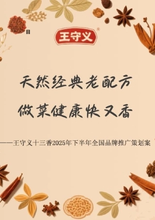 25年WP广告学-王守义十三香2025年下半年全国品牌推广策划案7.930-28777.docx