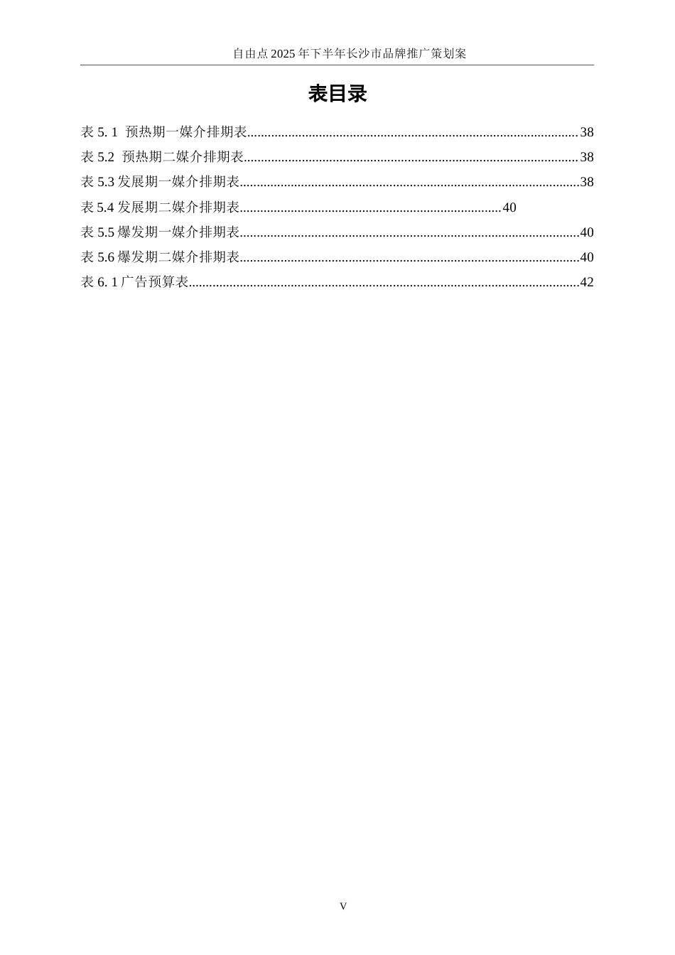 25年WP广告学-自由点2025年下半年长沙市品牌推广策划案9.940-19052.doc_第6页