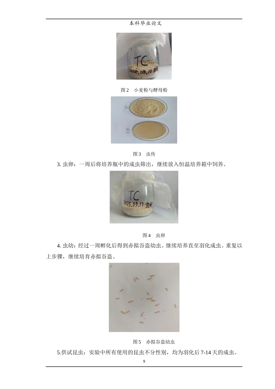 25年WP中药学-丁香挥发油化学成分及抗虫活性研究-11.20-7426.doc_第10页