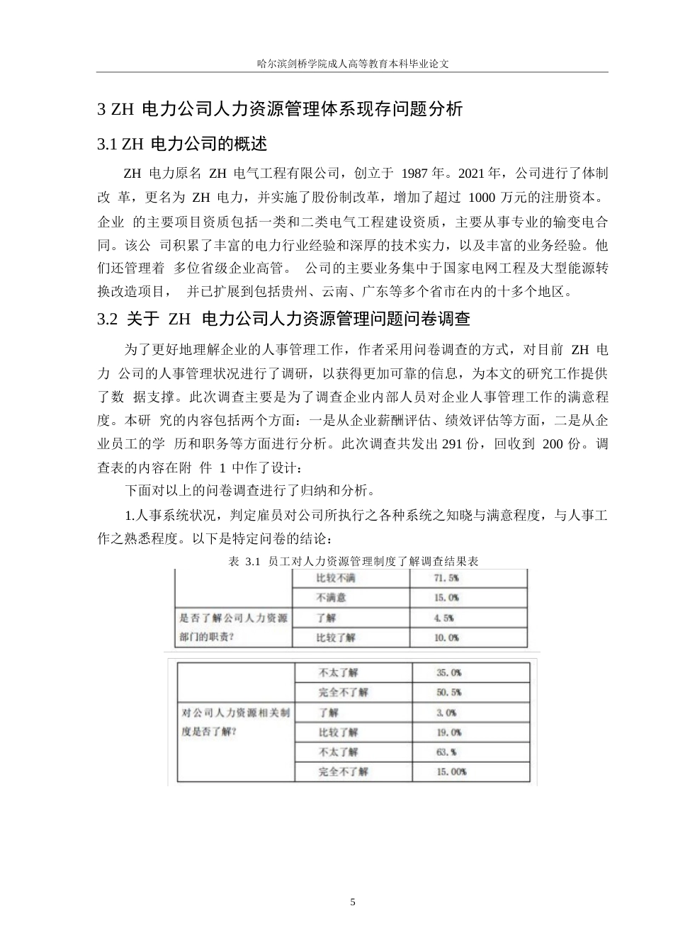 25年WPZH电力公司人力资源管理体系优化研究0-约13240字符.docx_第9页